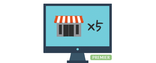 manage-multiple-stores-premier
